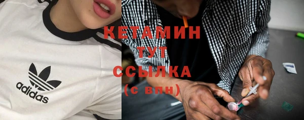 крисы Абаза