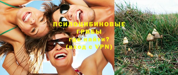 крисы Абаза