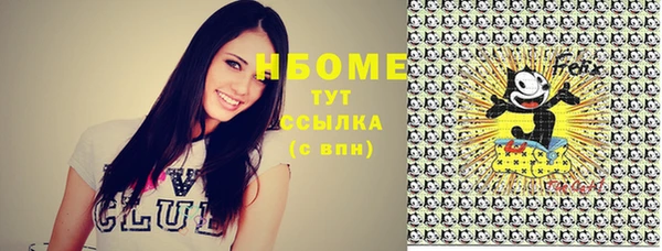 индика Абдулино