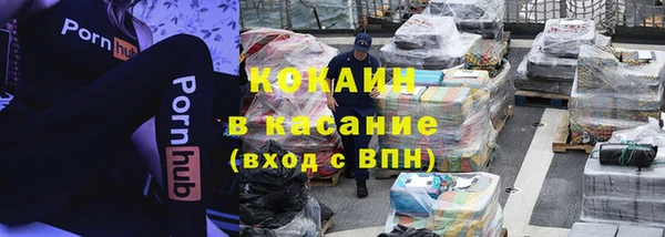крисы Абаза