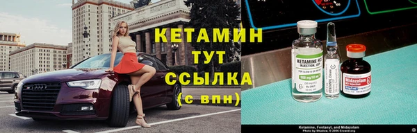 прущие грибы Семилуки