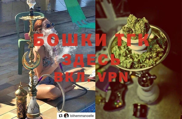 крисы Абаза