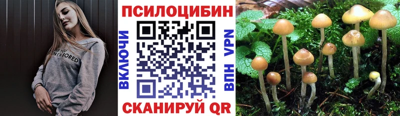 Галлюциногенные грибы MAGIC MUSHROOMS  Заволжье 