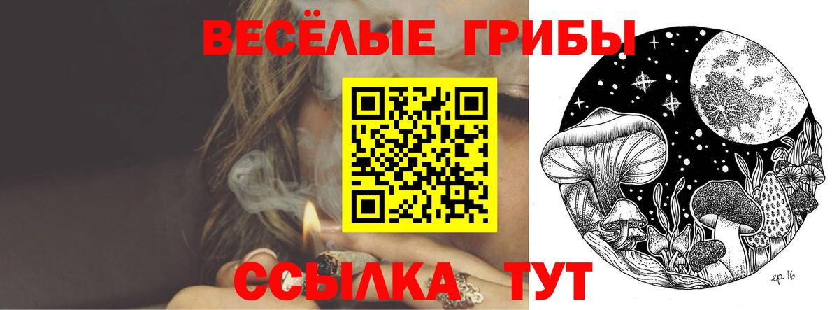 Заволжье  Галлюциногенные грибы мухоморы  Вход с VPN 