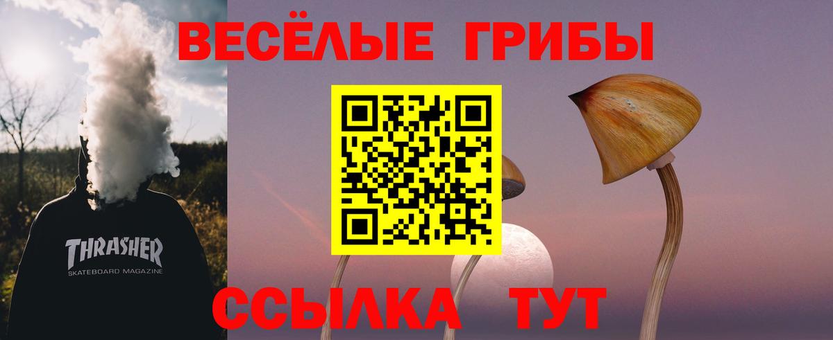 Галлюциногенные грибы MAGIC MUSHROOMS Заволжье